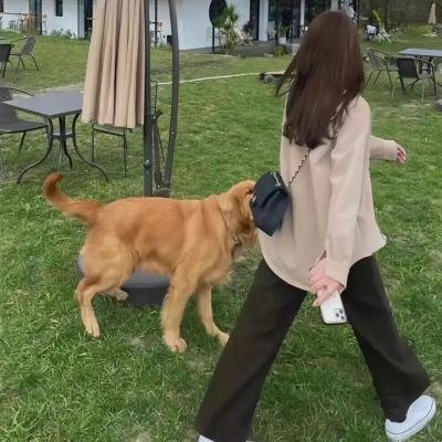 镖人海报